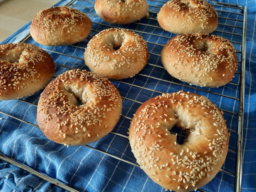 Ein Gitter mit frischgebackenen, goldbraunen Sesam-Bagels.