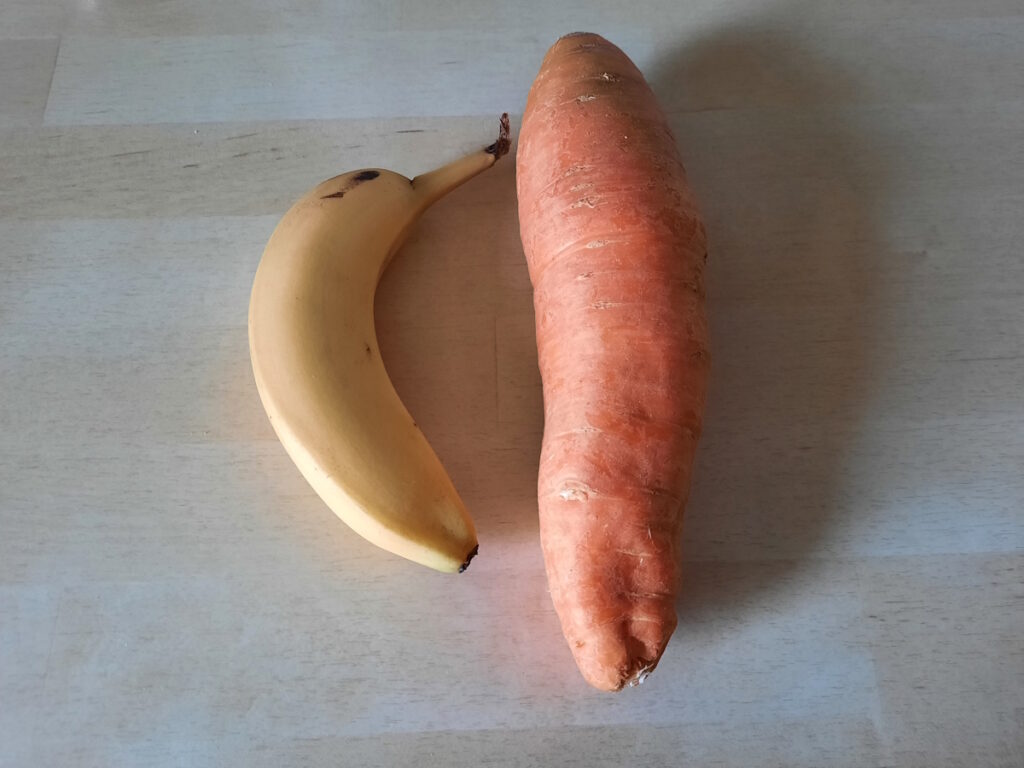 Links eine sehr kleine Banane, rechts eine sehr große dicke Möhre. Unter normalen Umständen sollten die Größenverhältnisse eigentlich genau andersrum sein.